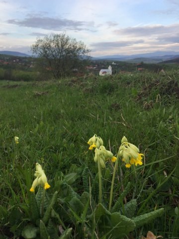 Húsvét Székelylengyelfalván 43